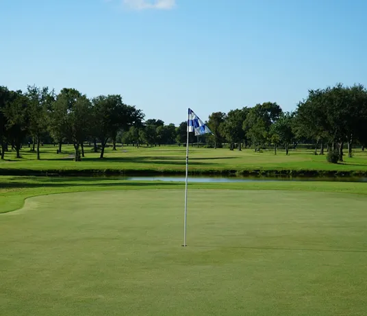 Putting green with a flag, framed by trees