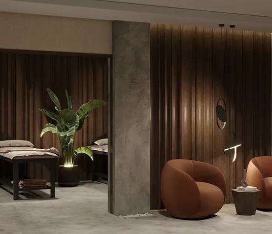 Treatment room with two beds, lounge chairs and a plant